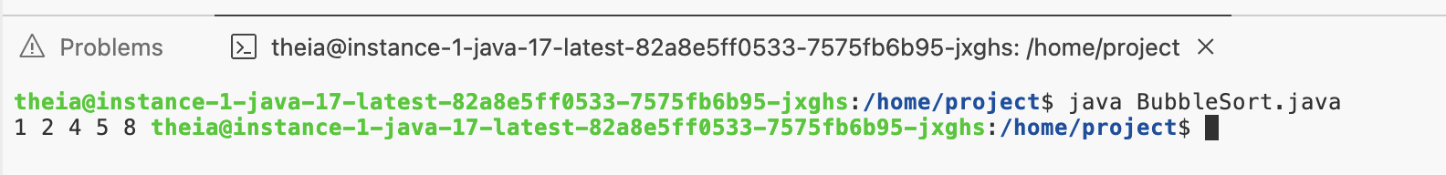 Run BubbleSort.java in terminal