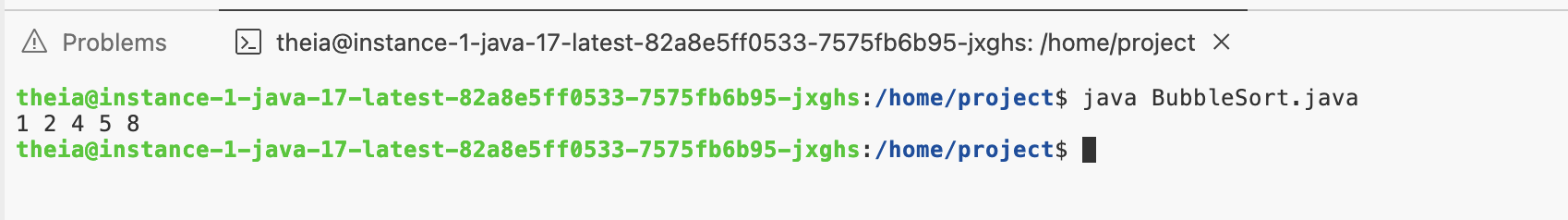 BubbleSort terminal output