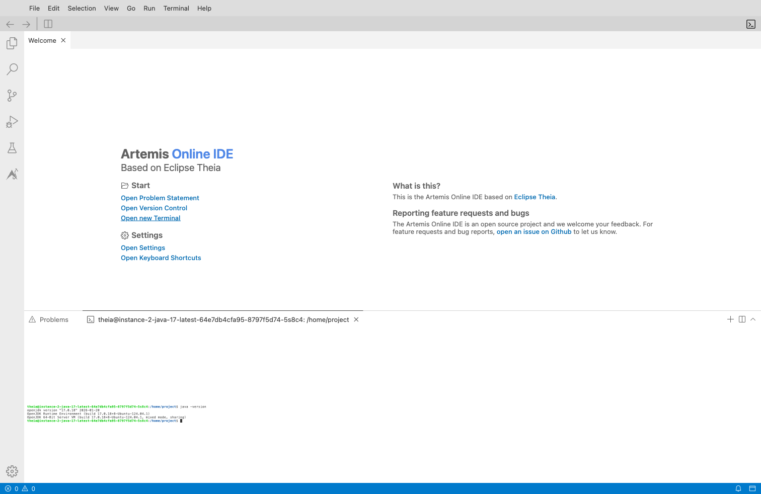 Terminal java version check